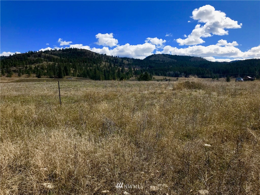 1-xxx Big Hole Road Republic, WA 99166 - Photo 3 of 4 Gallery Image 3