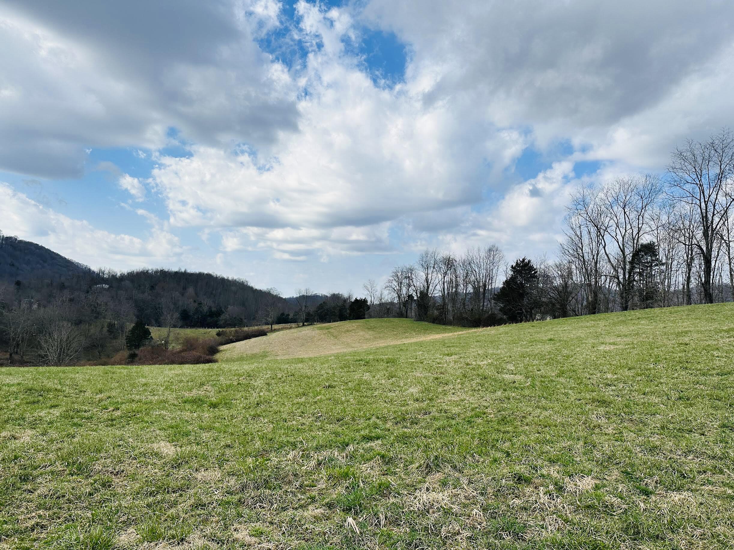 Tbd Combs Valley Road Cleveland, VA 24225 - Photo 1 of 3 B95707A7-58A9-4C97-9E6E-D42ED9D102A2