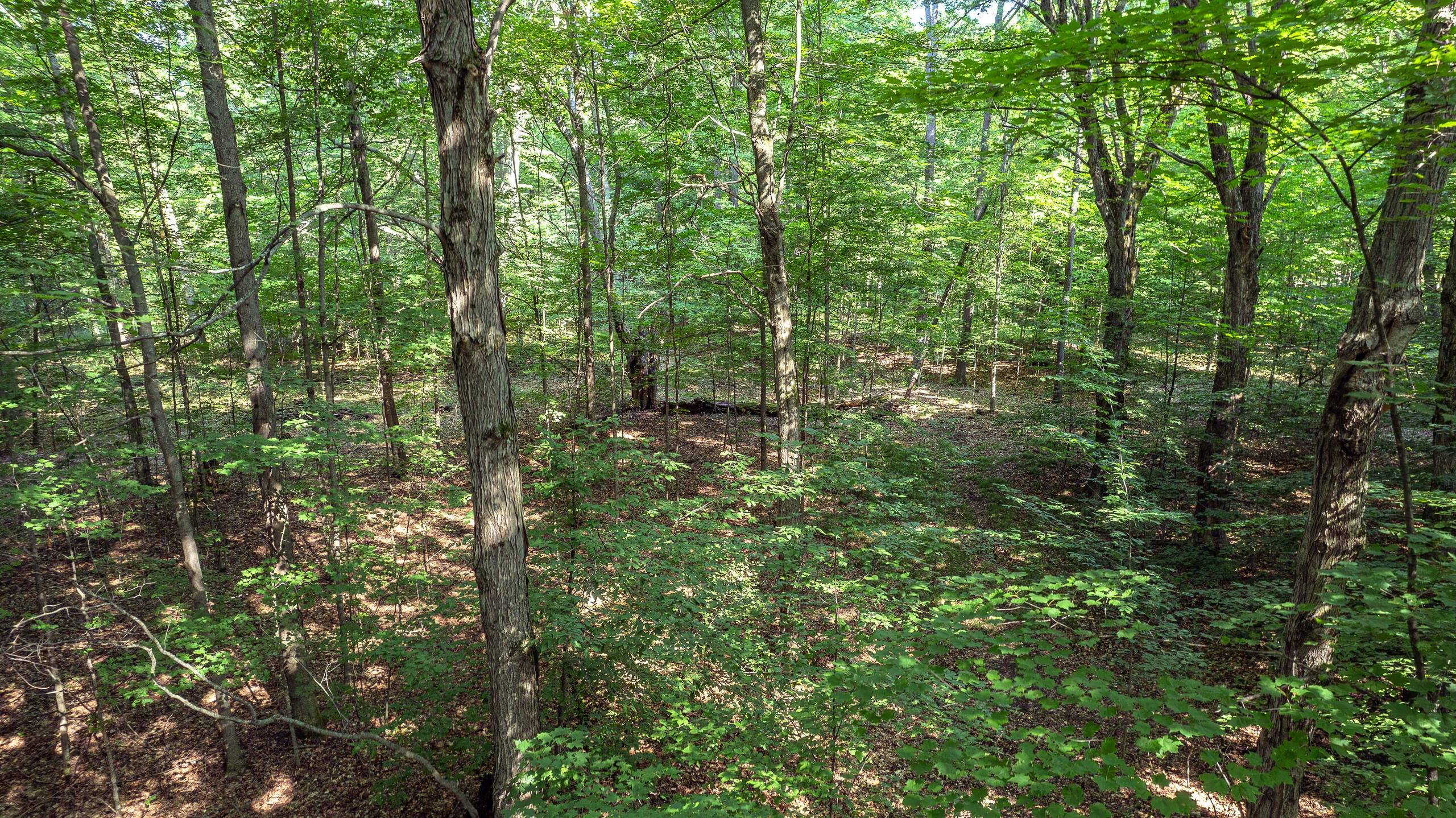 1245 West River Ridge Road Pentwater, MI 49449 - Photo 9 of 17 DJI_0014-HDR