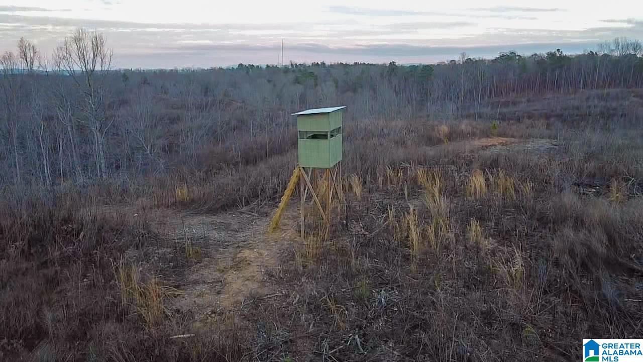 0 Coaling Road, Unit 1 Sylacauga, AL 35151 - Photo 4 of 4