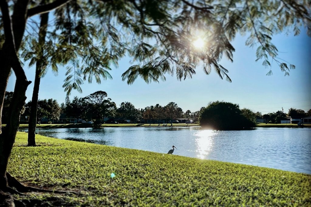 549 Layport Drive Sebastian, FL 32958 - Photo 34 of 35 a view of a lake with houses in the back