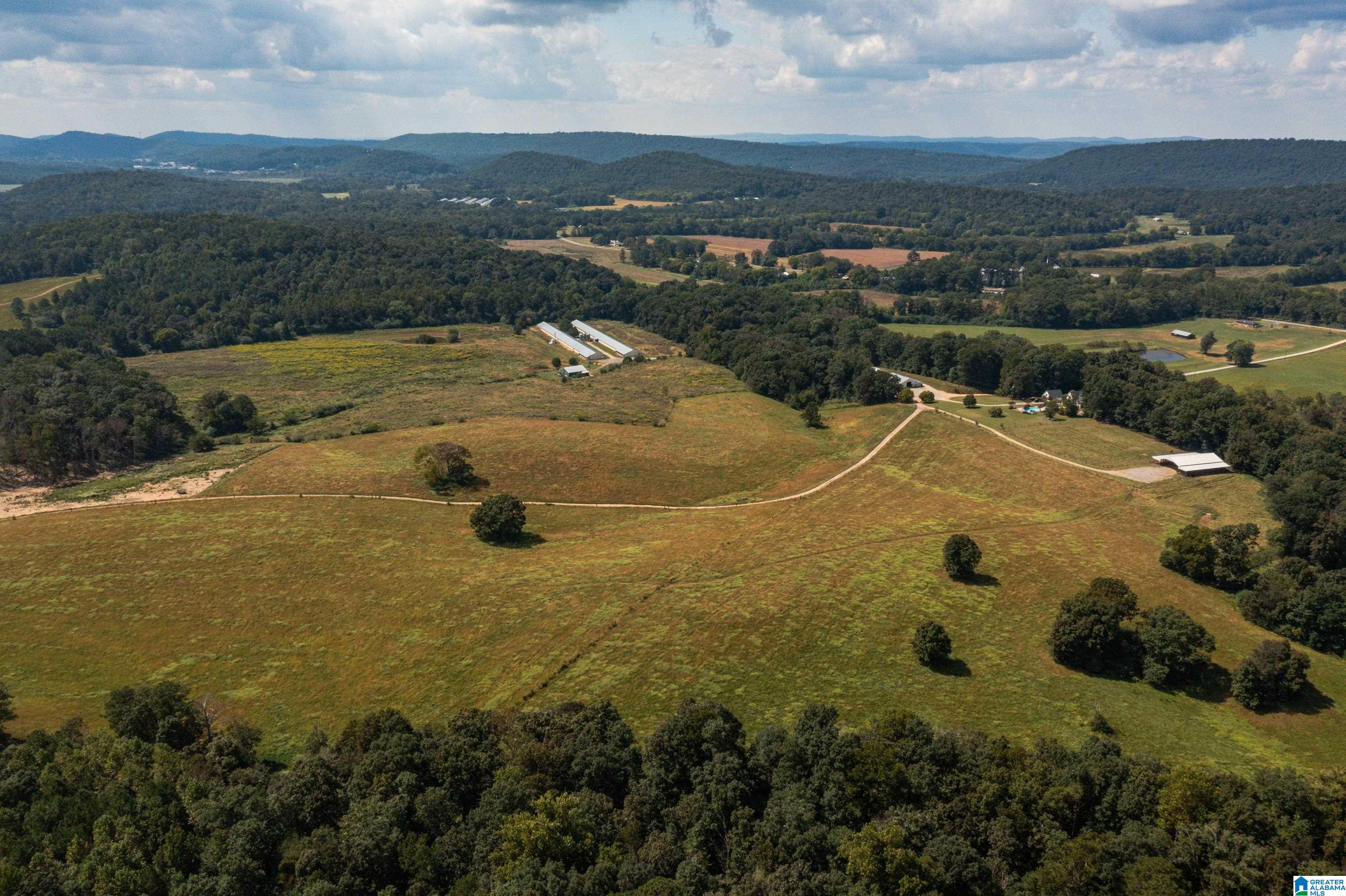3124 County Road 39 Oneonta, AL 35121 - Photo 97 of 98