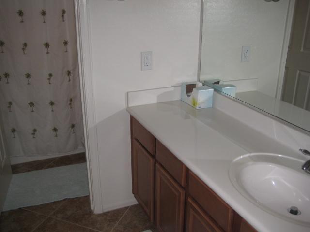 3247 East Tyson Street Gilbert, AZ 85295 - Photo 17 of 34 a bathroom with a sink and a tub