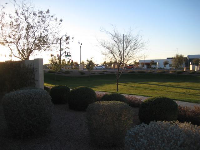 3247 East Tyson Street Gilbert, AZ 85295 - Photo 28 of 34 a view of a park with large trees