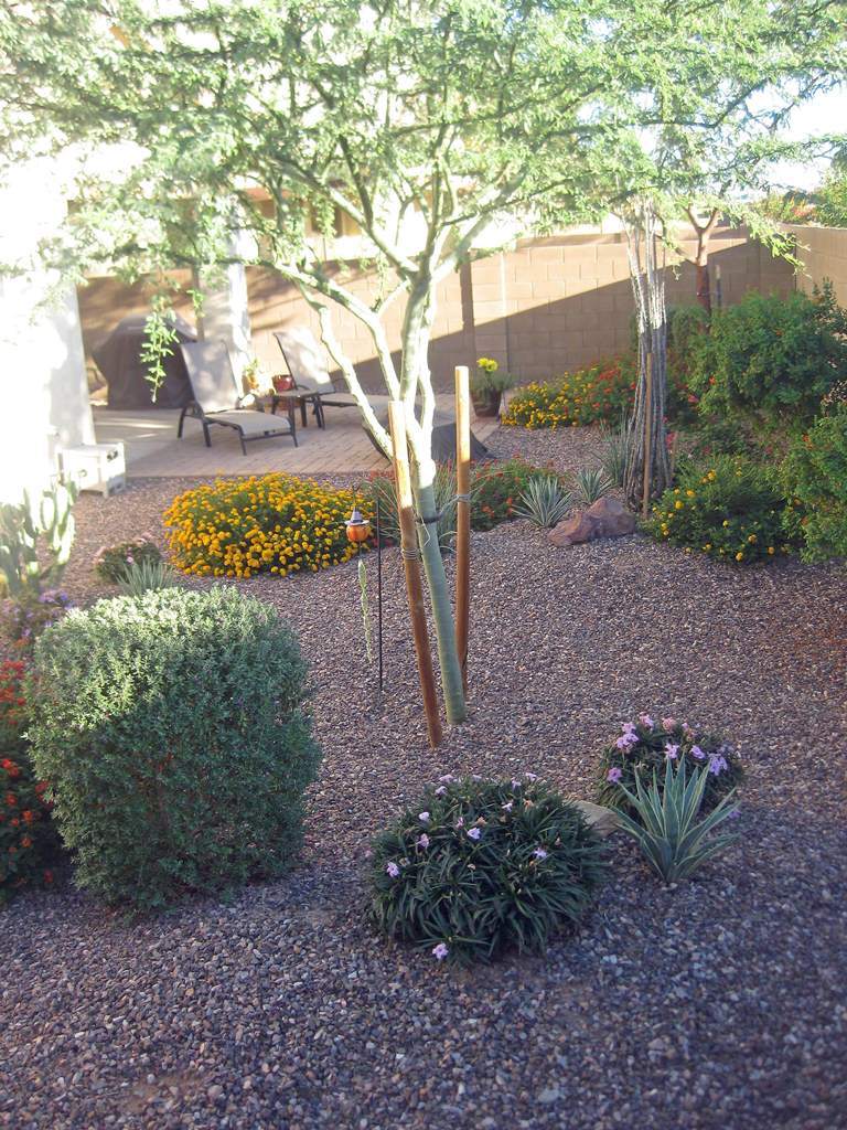 3247 East Tyson Street Gilbert, AZ 85295 - Photo 32 of 34 2010 10 31_0994