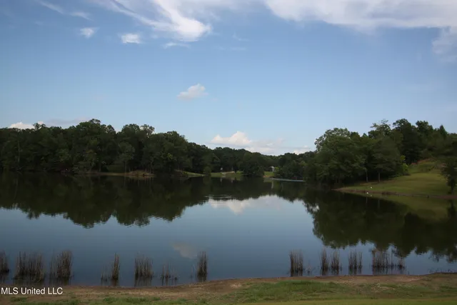 $550,000 | 317 Lakeview Drive, Yazoo City, MS 39194