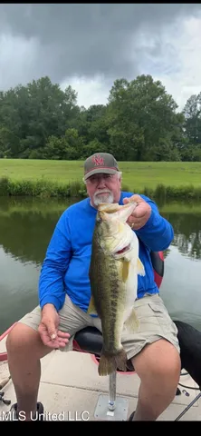 $550,000 | 317 Lakeview Drive, Yazoo City, MS 39194