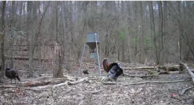 $550,000 | 317 Lakeview Drive, Yazoo City, MS 39194