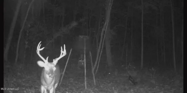 $550,000 | 317 Lakeview Drive, Yazoo City, MS 39194