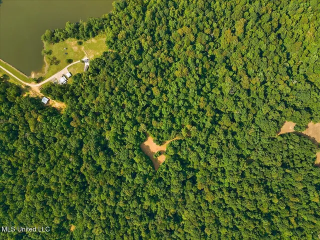 $550,000 | 317 Lakeview Drive, Yazoo City, MS 39194