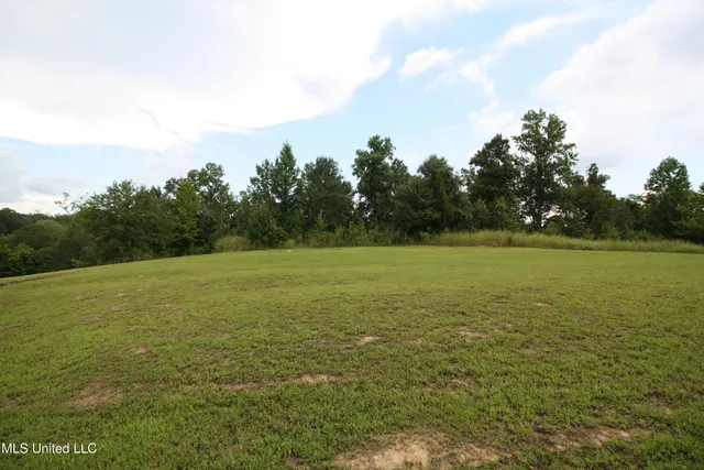 $550,000 | 317 Lakeview Drive, Yazoo City, MS 39194