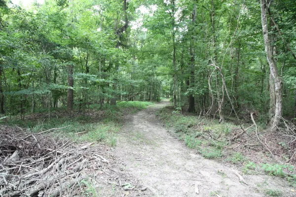 $550,000 | 317 Lakeview Drive, Yazoo City, MS 39194