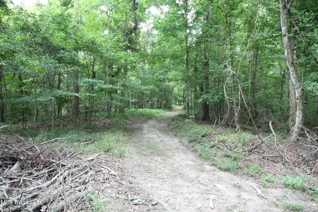 $550,000 | 317 Lakeview Drive, Yazoo City, MS 39194