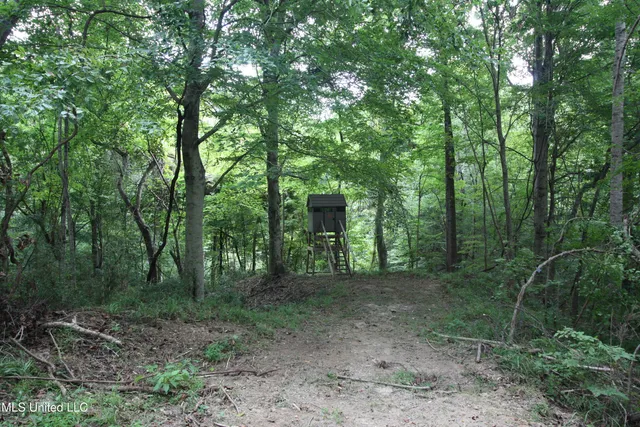 $550,000 | 317 Lakeview Drive, Yazoo City, MS 39194