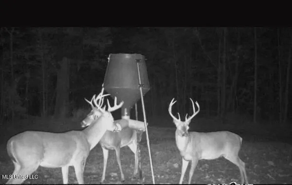 $550,000 | 317 Lakeview Drive, Yazoo City, MS 39194