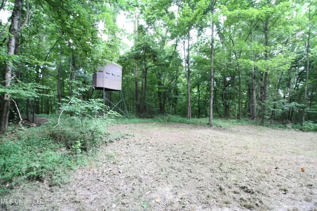 $550,000 | 317 Lakeview Drive, Yazoo City, MS 39194