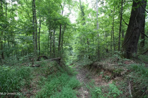 $550,000 | 317 Lakeview Drive, Yazoo City, MS 39194