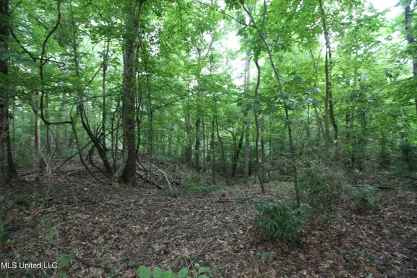 $550,000 | 317 Lakeview Drive, Yazoo City, MS 39194