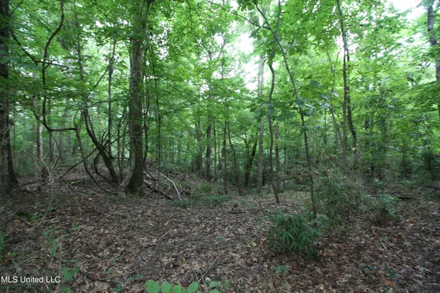 $550,000 | 317 Lakeview Drive, Yazoo City, MS 39194