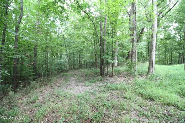 $550,000 | 317 Lakeview Drive, Yazoo City, MS 39194