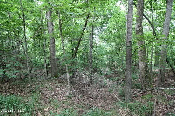 $550,000 | 317 Lakeview Drive, Yazoo City, MS 39194