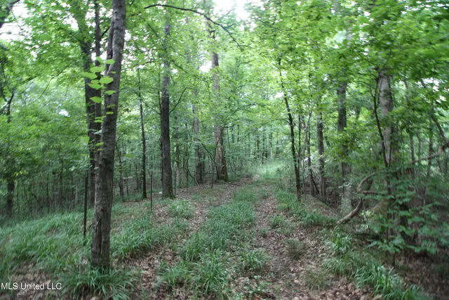 $550,000 | 317 Lakeview Drive, Yazoo City, MS 39194