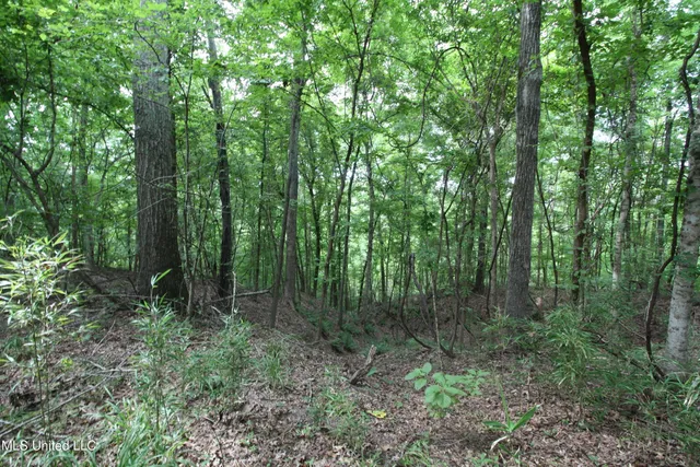 $550,000 | 317 Lakeview Drive, Yazoo City, MS 39194