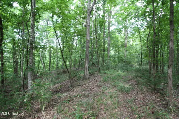 $550,000 | 317 Lakeview Drive, Yazoo City, MS 39194