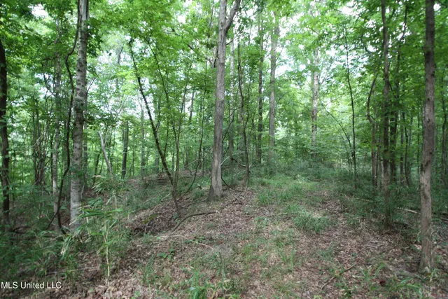 $550,000 | 317 Lakeview Drive, Yazoo City, MS 39194