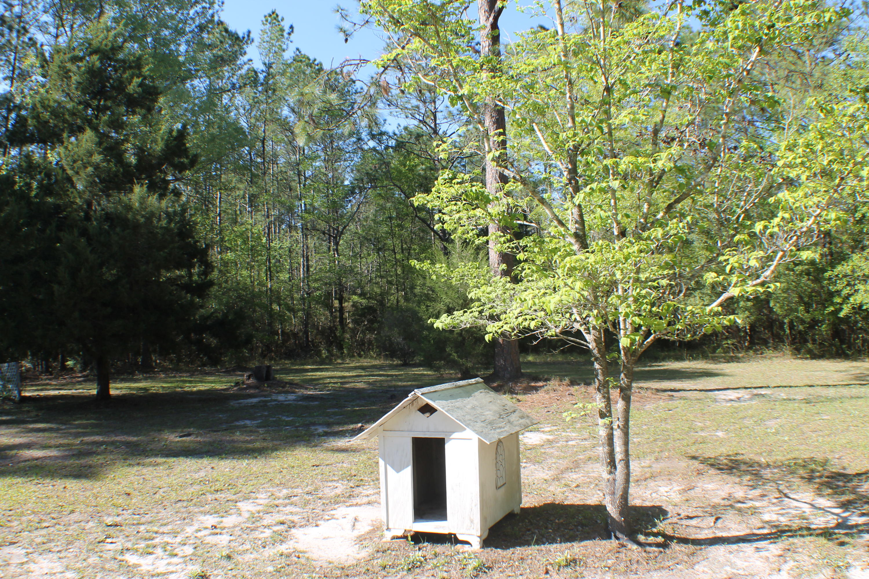 3899 Poverty Creek Road Crestview, FL 32539 - Photo 14 of 58 IMG_0081