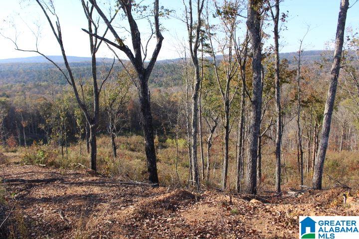 0 Shaw Road, Unit 1 Pell City, AL 35128 - Photo 5 of 7