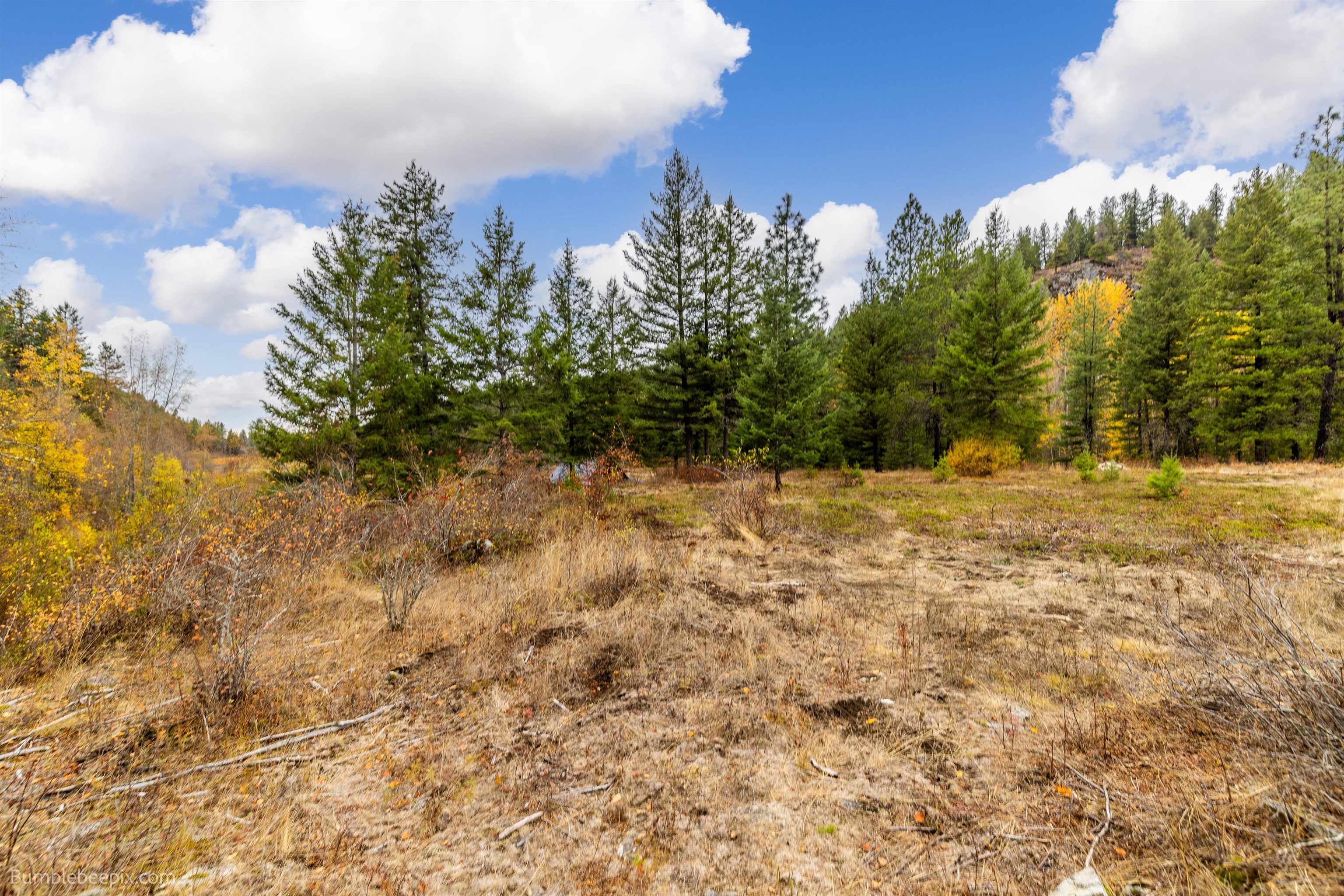 8 Camden Road Elk, WA 99009 - Photo 16 of 30 Gallery Image 16