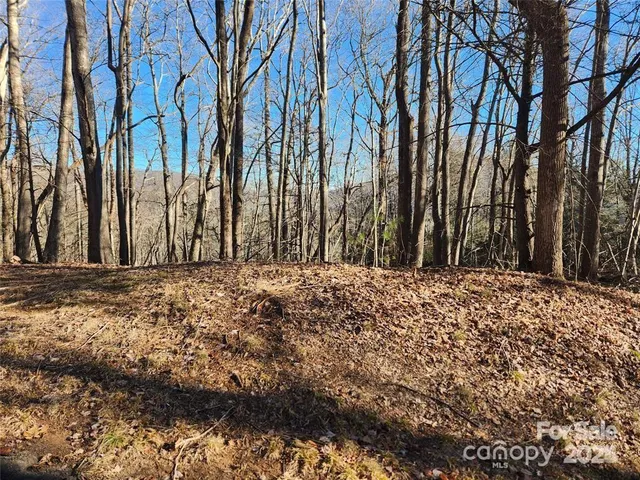 a view of a backyard of a house