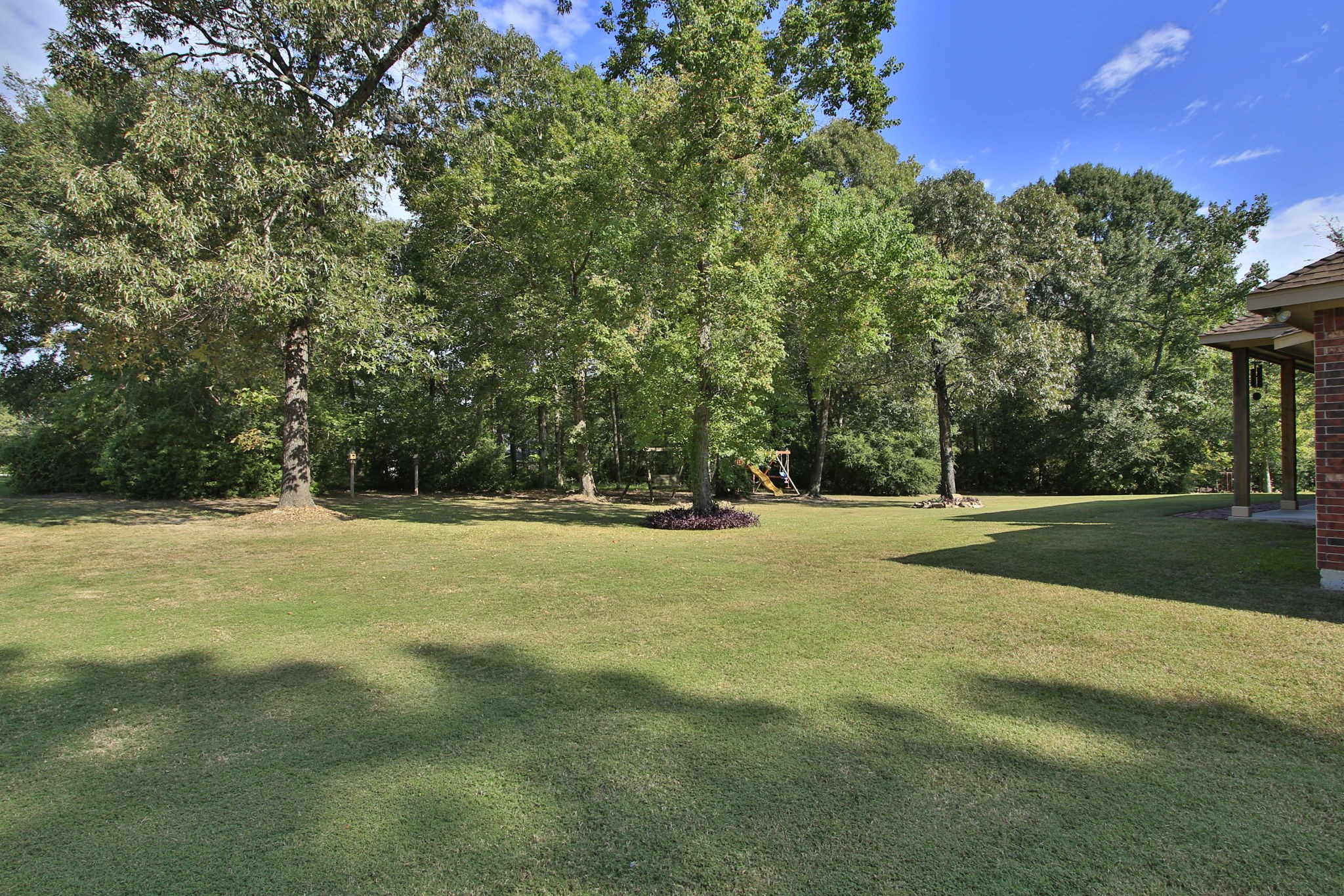 1547 Ruby Drive Willis, TX 77378 - Photo 39 of 48 a view of yard with trees