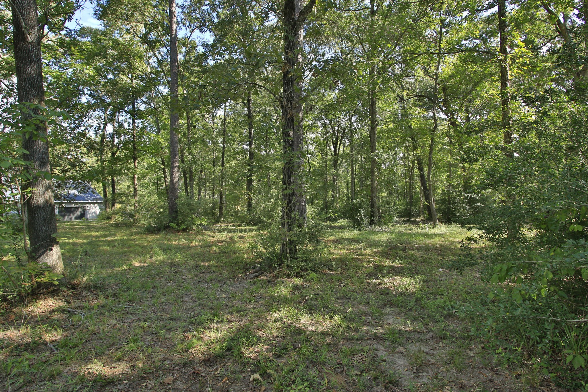 1547 Ruby Drive Willis, TX 77378 - Photo 47 of 48 a view of outdoor space and green space