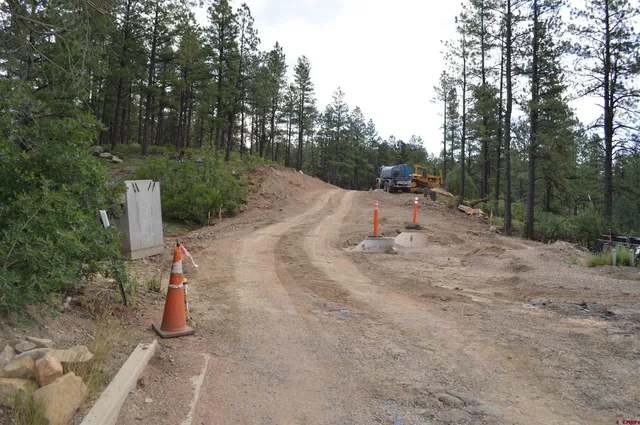 a view of a road with trees