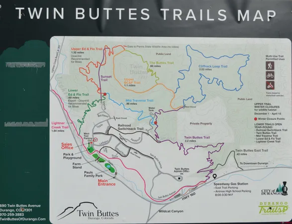 a view of yard along with trees