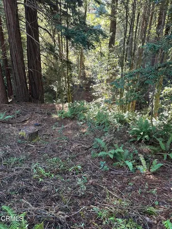 $225,000 | 17500 Redwood Springs Drive, Fort Bragg, CA 95437