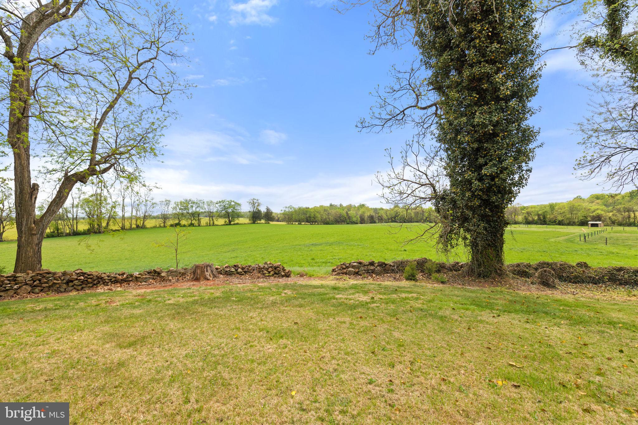 17280 Reid Road Brandy Station, VA 22714 - Photo 123 of 145