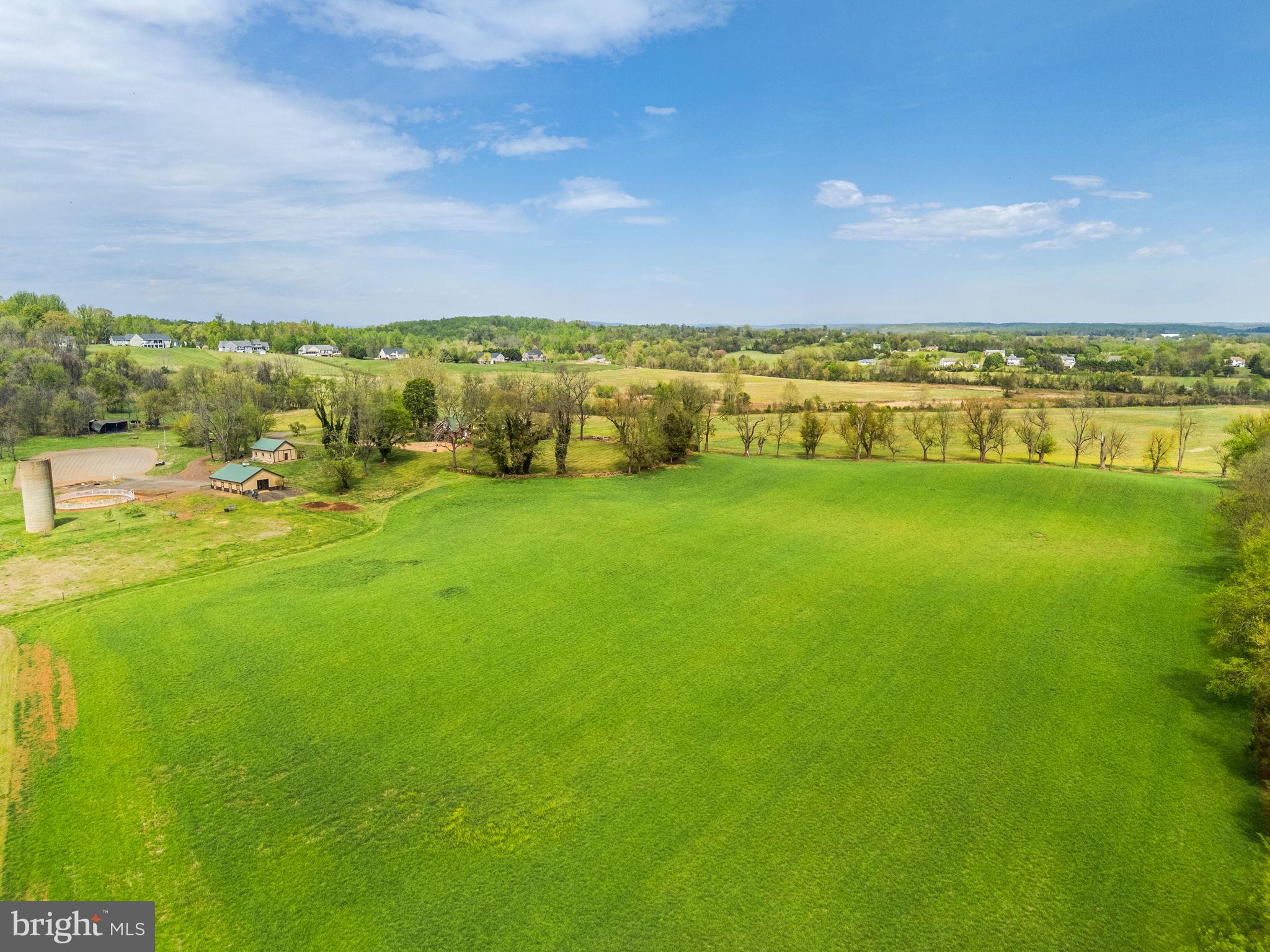 17280 Reid Road Brandy Station, VA 22714 - Photo 128 of 145 Orchard Grass Field