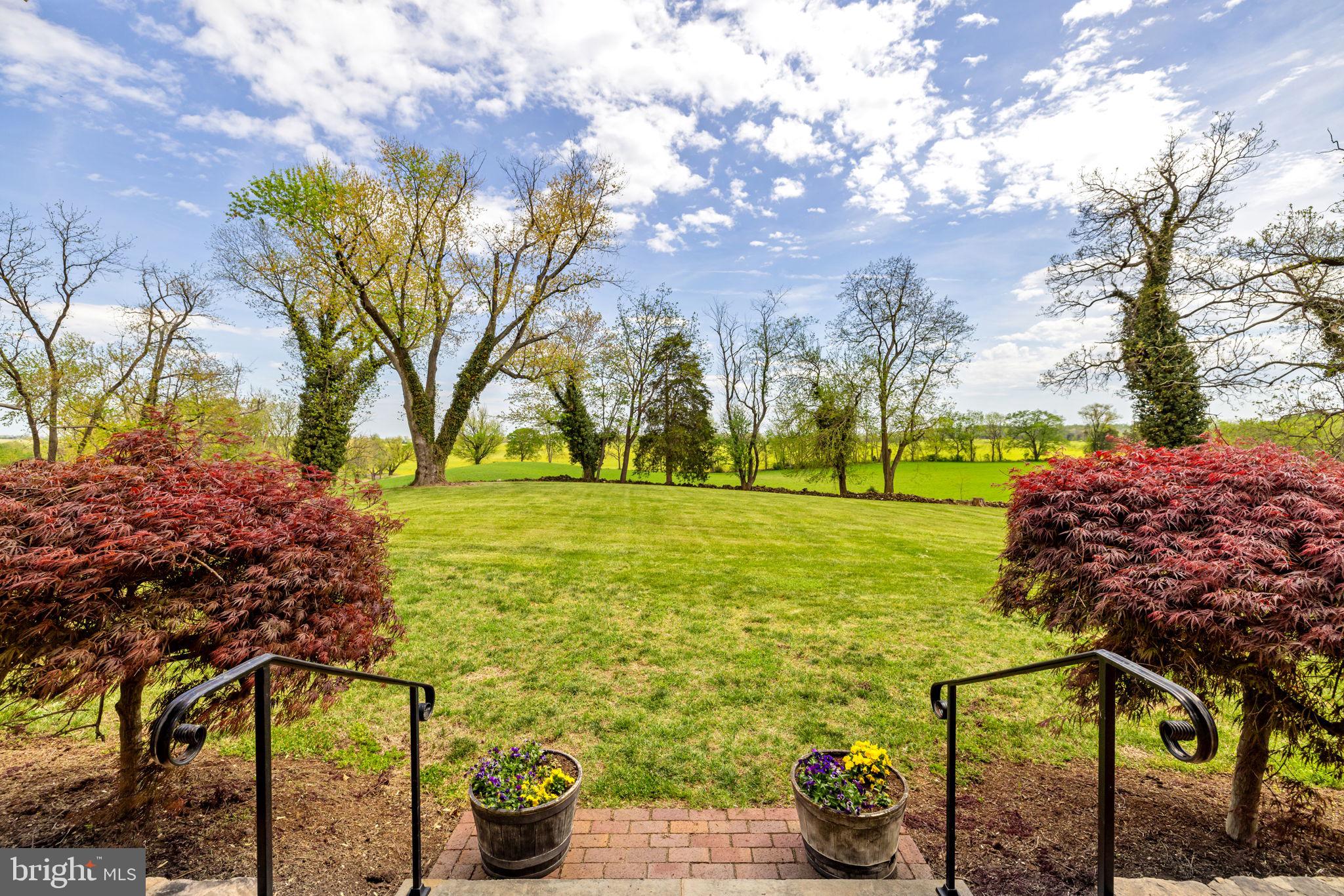17280 Reid Road Brandy Station, VA 22714 - Photo 15 of 145 View from the porch