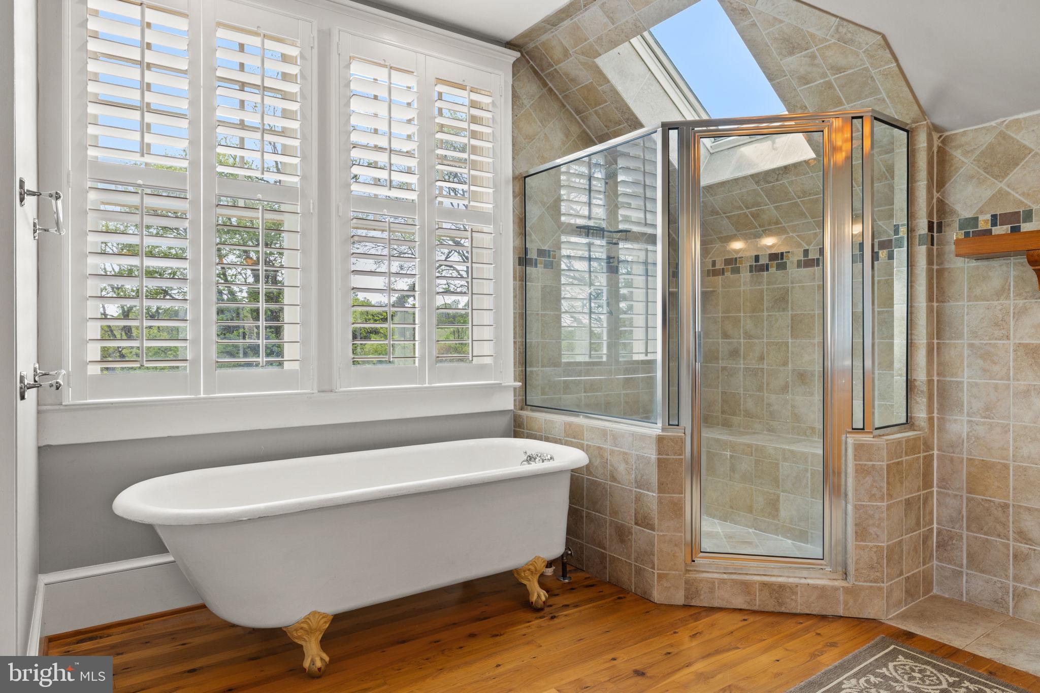 17280 Reid Road Brandy Station, VA 22714 - Photo 61 of 145 Primary Bathroom