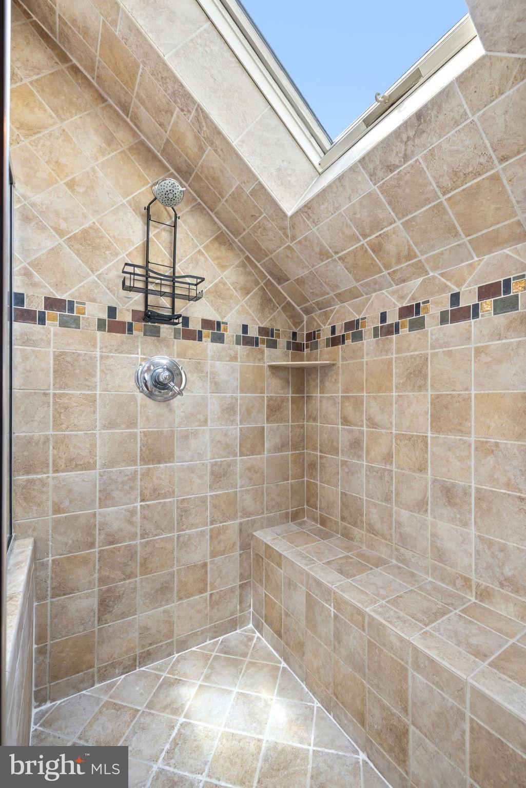 17280 Reid Road Brandy Station, VA 22714 - Photo 62 of 145 Incredible shower with skylight