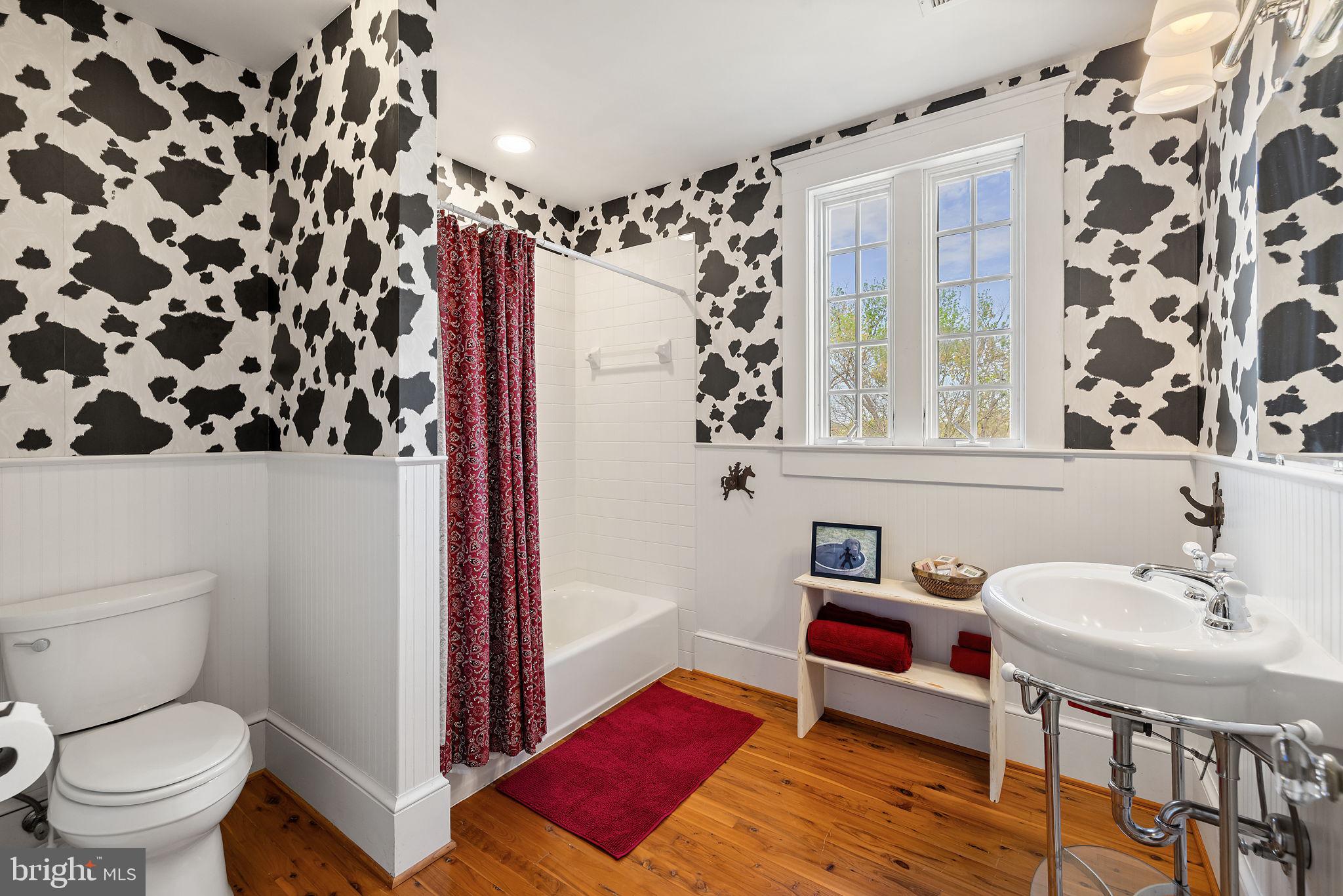 17280 Reid Road Brandy Station, VA 22714 - Photo 67 of 145 Hallway Cow bathroom