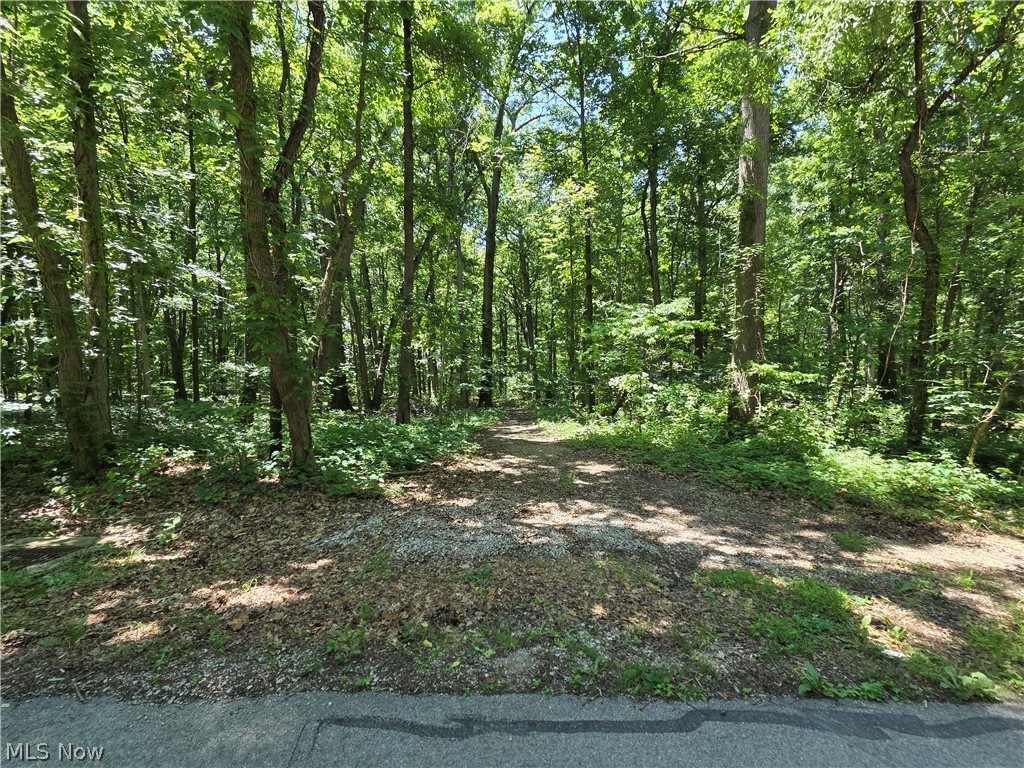 V/l - Poorman Road Vermilion, OH 44089 - Photo 1 of 2
