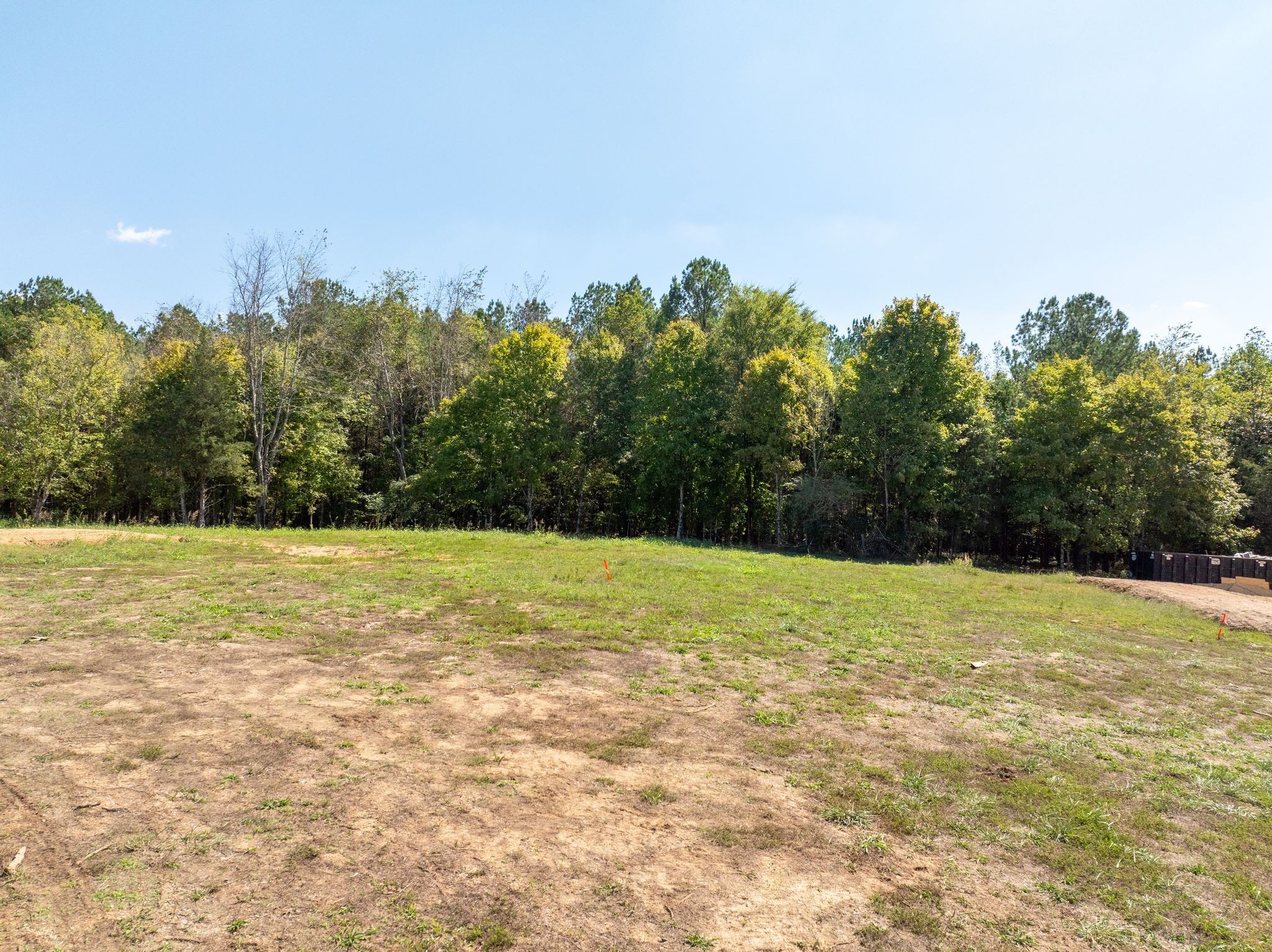 0 Old County House Road Charlotte, TN 37036 - Photo 12 of 20 a yard with trees in the background