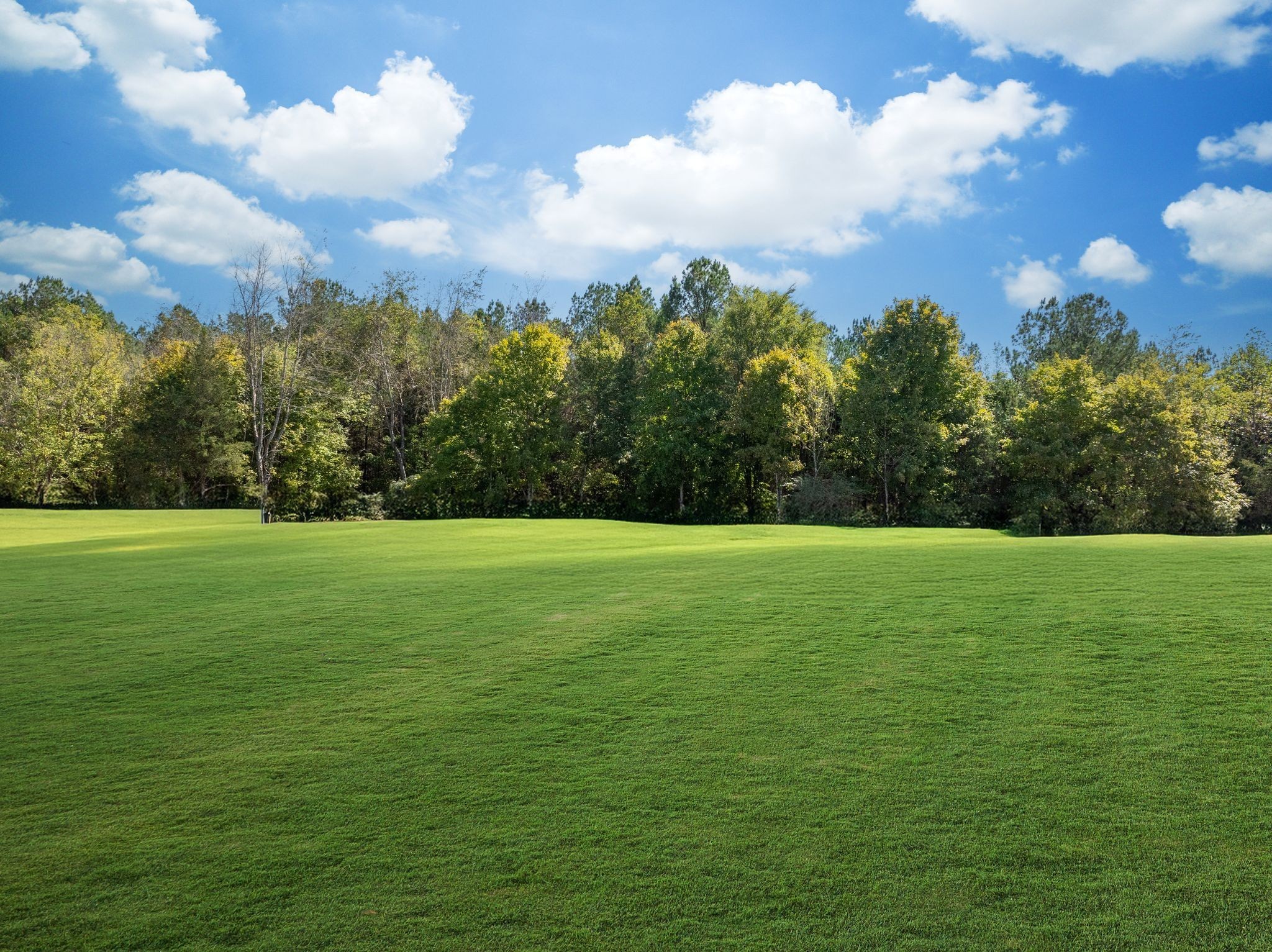 0 Old County House Road Charlotte, TN 37036 - Photo 7 of 20 a view of a golf course with a lake