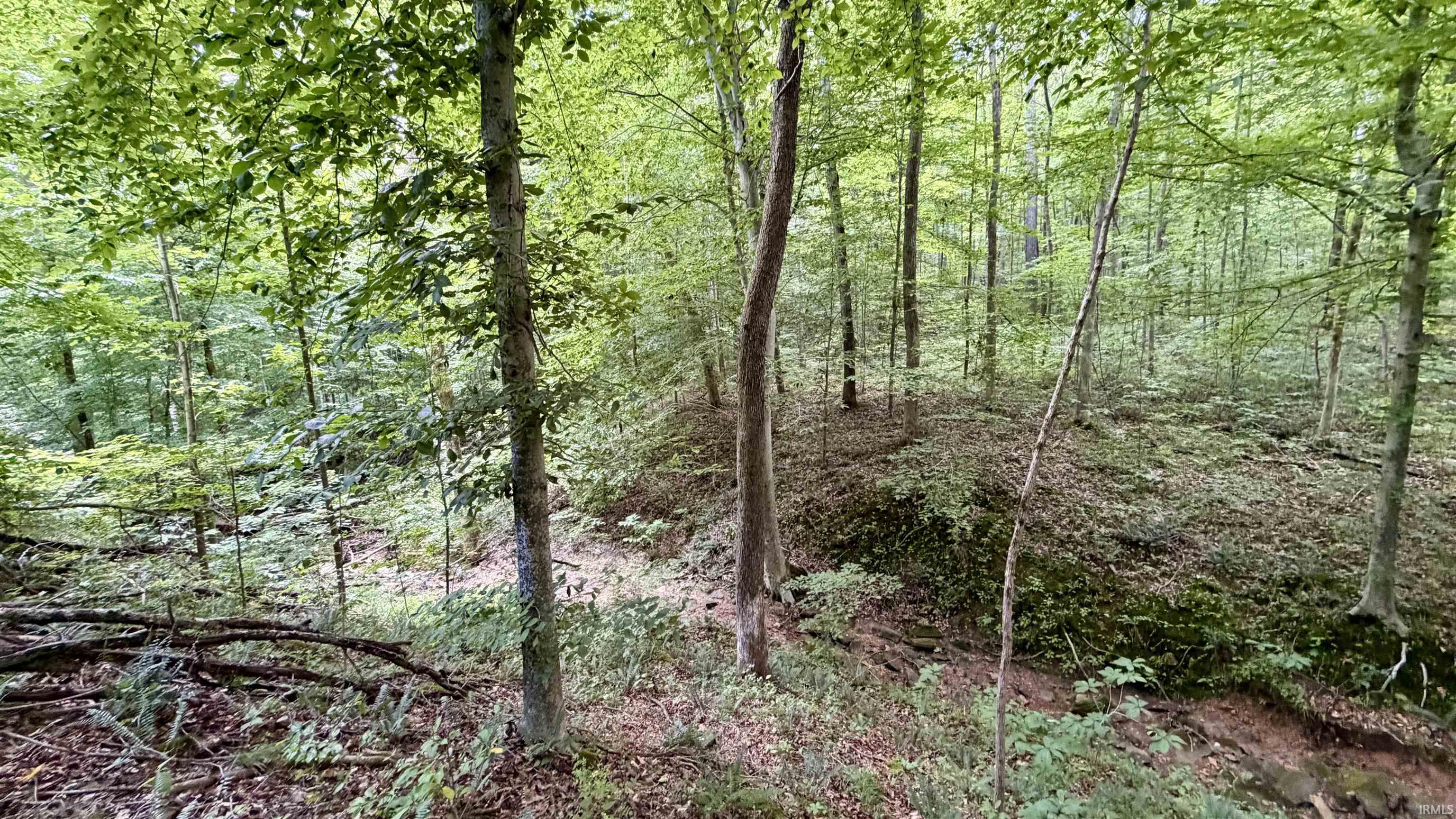 64 State Road English, IN 47118 - Photo 15 of 27