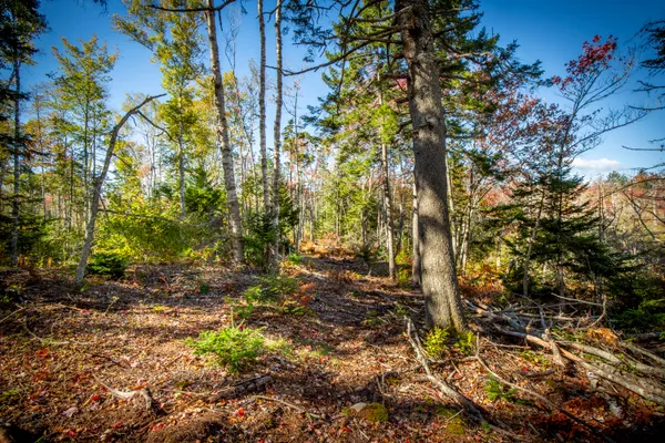 $70,000 | Lot 5 Jack's Lane, New Harbor, ME 04554