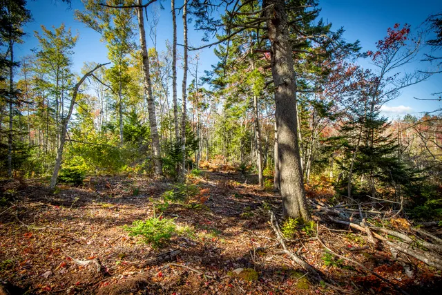 $70,000 | Lot 5 Jack's Lane, New Harbor, ME 04554
